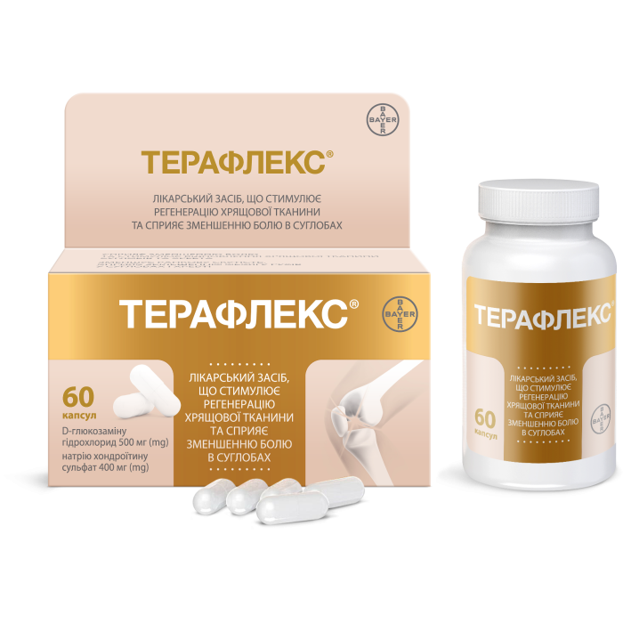 Терафлекс капсулы №60