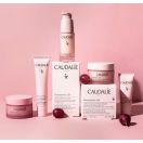 Крем Caudalie (Кодалі) Resveratrol Lift Кашемір 50 мл foto 3