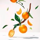 Мыло Roger&Gallet (Роже&Галье) Апельсиновое дерево 100 г foto 4