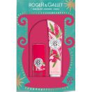 Набір Roger&Gallet (Роже&Галлє) Червоний імбир (Бальзам для губ 3,5 г + Крем для рук 30 мл) foto 1