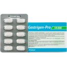 Гастріджен-Про Baum Pharm 10000 ОД капсули №30 foto 2