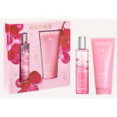 Набір Caudalie (Кодалі) Rose des Vignes (Енергетична туалетна вода Rose des Vignes 50 мл+Гель для душу Rose de Vigne 200 мл) foto 2