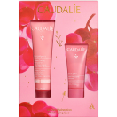 Набор Caudalie (Кодали) Vinohydra Sorbet Cream (Крем-сорбет увлажняющий 60 мл+Гель увлажняющий для умывания 30 мл) foto 1