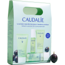 Набір Caudalie (Кодалі) Vinopure стартовий (Желе для очищення 30 мл+ Сироватка Контроль недосконалості 10 мл+Флюїд Ідеальна шкіра матовий 15 мл+Тонік для очищення 30 мл) foto 1