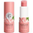 Бальзам для губ Roger&Gallet (Роже&Галлє) Квітка інжиру сублімуючий 3,5 г foto 1