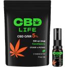 Каннабідіол CBD life Олія 5% зі смаком м'яти спрей 10 мл foto 1