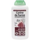 Гель-крем Corine de Farme (Корін де Фарм) для душу Інжир 500 мл foto 1