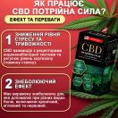 CBD Тройная сила 400 мг капсулы №60 foto 3