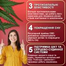 CBD Тройная сила 400 мг капсулы №60 foto 4