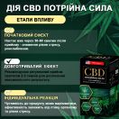 CBD Тройная сила 400 мг капсулы №60 foto 8