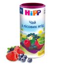 Чай Hipp 3905 лісові ягоди (з 6 місяців) 200 г foto 2