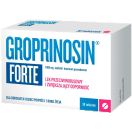 Гропринозин форте 1000 мг таблетки №30 foto 1