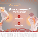 Терафлекс Адванс капсулы №60 foto 3
