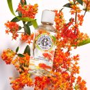 Парфумована вода Roger&Gallet (Роже&Галье) Квітка османтусу 30 мл foto 4