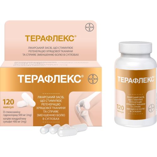 Терафлекс капсулы №120 - фото №1 Терафлекс капсулы №120