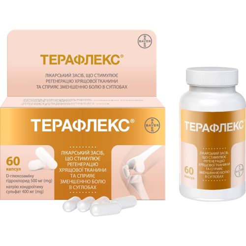 Терафлекс капсулы №60 - фото №1 Терафлекс капсулы №60